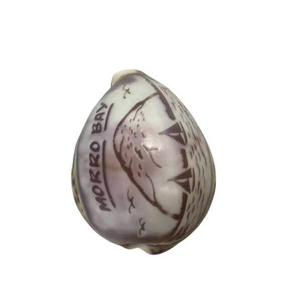 Handcrafted Morro Bay Souvenir Polished Cowrie Shell Engraved Nautical Scene - Picture 2 of 4